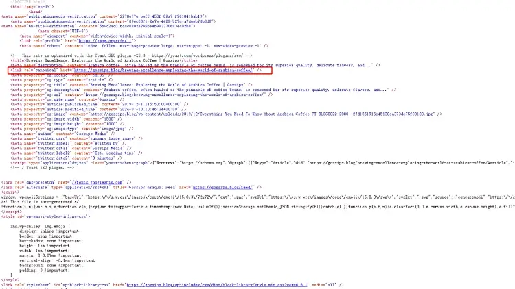canonical tag