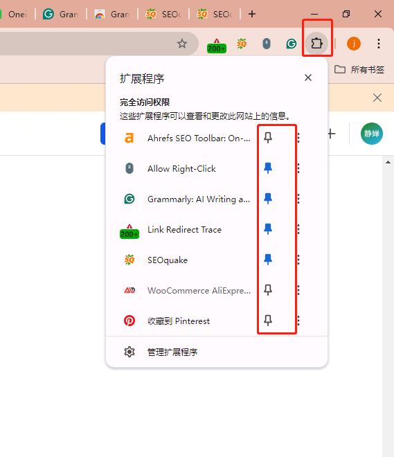 查看插件图标