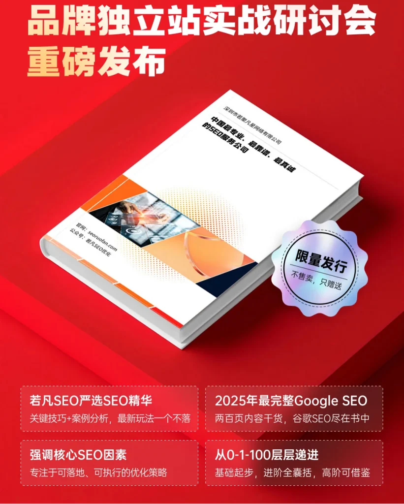 2025谷歌SEO优化指南的书本照片
